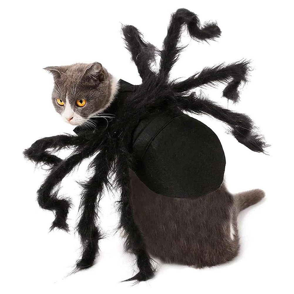 Halloween edderkop tøj til kæledyr hund kat edderkopp kostumer udklædning kæledyr tøj kæledyr halloween rekvisitter tilbehør til festtøj
