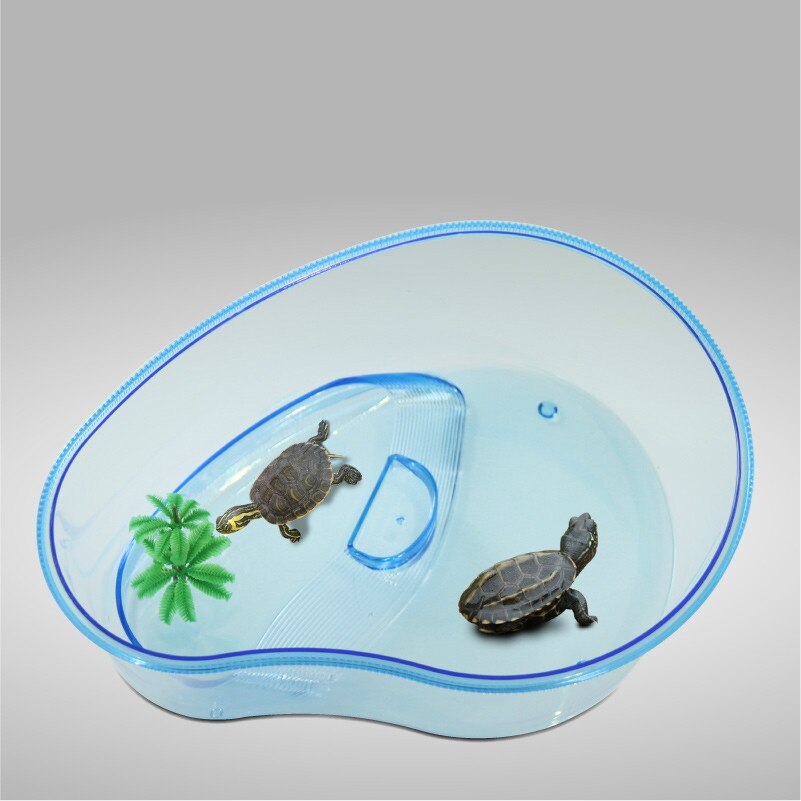 1PCS Desktop Large Plastic Turtle Cylinder Plastic... – Grandado