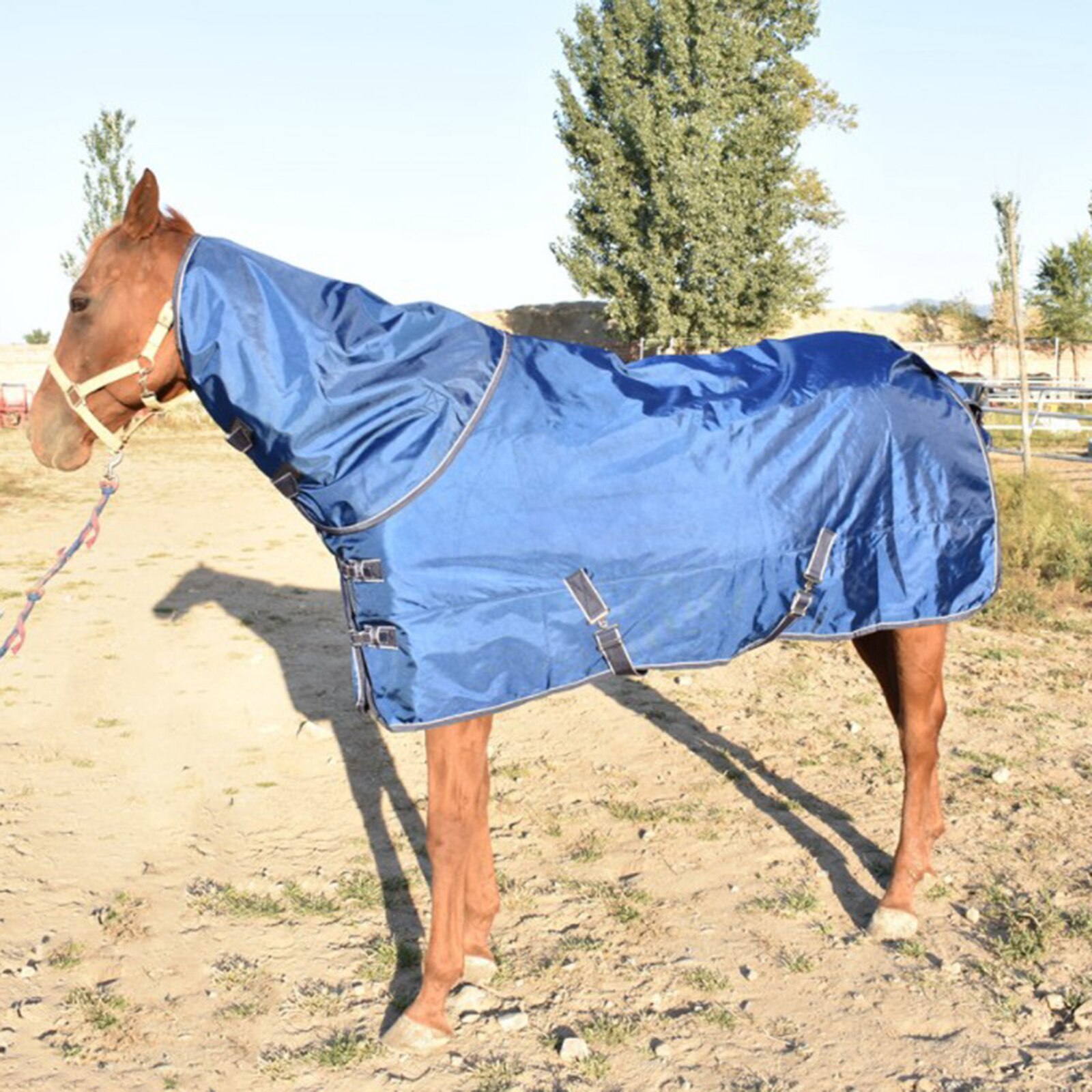 Hestemødeark rianproof tæppe heste vejrbestandige heste: Blå 140cm