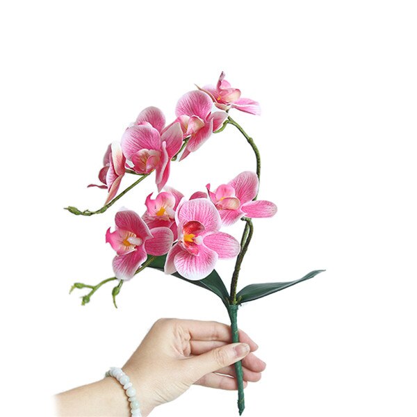 Artificial Flower Branch Silk Artificial Moth Orchid Butterfly Orchid for DIY House Wedding Festival Home Decoration: D