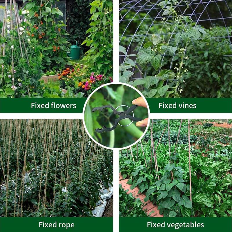 20pcs Plant Vines Fixing Clips grape climbing clip Garden plastic clip Tomato Clamp Plant clip Gardening garden Loofah clip