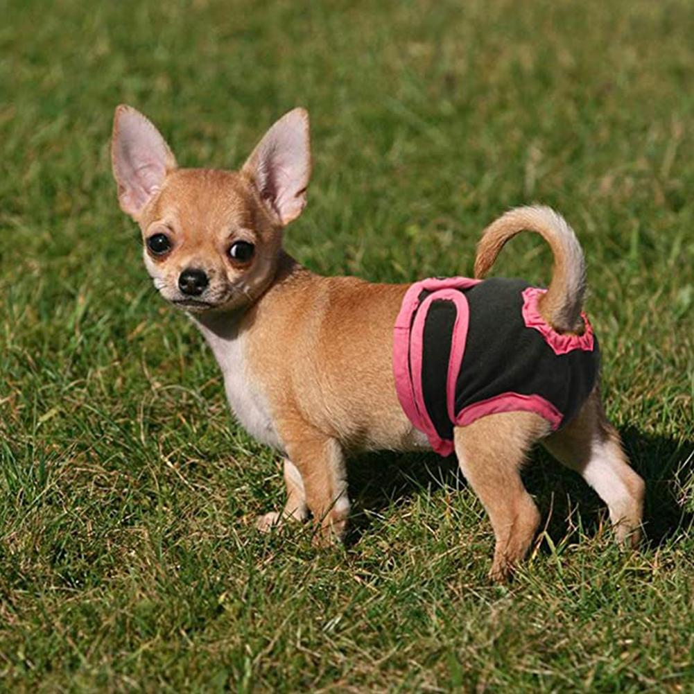 3pcs Pet Dog Physiological Pants Shorts Breathable Comfortable Anti-harassment Diaper Pet Underwear For Small Meidium Dogs