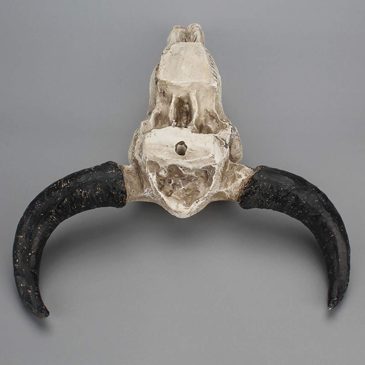 Harpiks tyr ko kranium hoved væg hængende indretning 3d dyr dyreliv skulptur figurer håndværk horn halloween til hjemmet bar