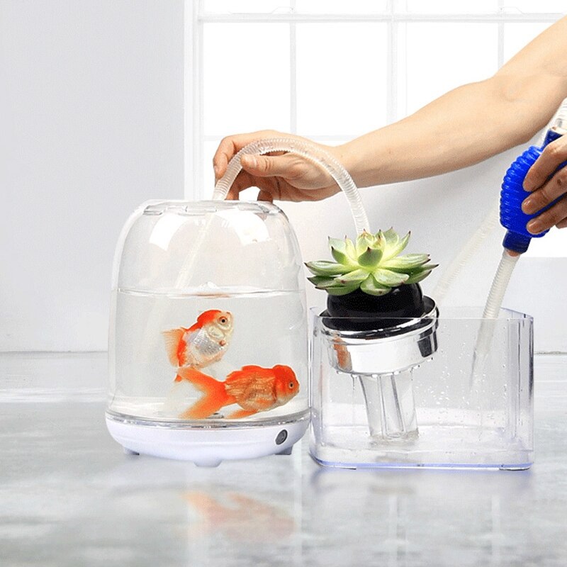 Petit aquarium pour poissons, favorise un environnement sain pour les plantes et les poissons, bureau, petit aquarium pour Betta, poisson néon, Etc