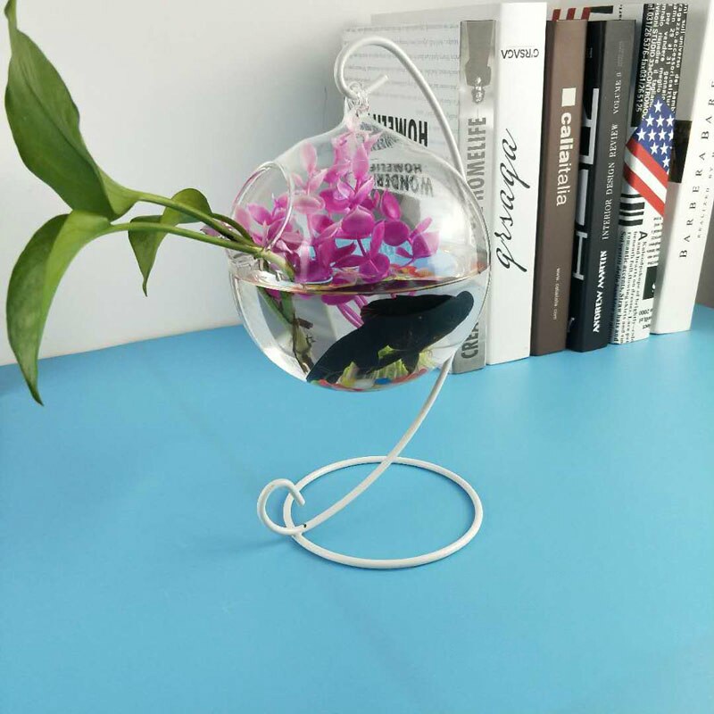 Desktop Hanging Glass Fish Tank Mini Aquatic Plants Vase Fish Tank Transparent Goldfish Tank Iron Support Aquarium