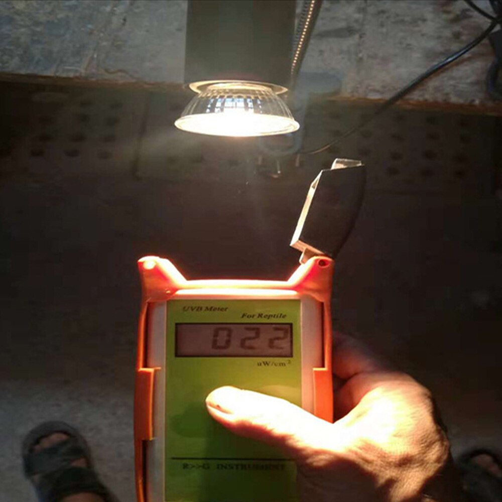 UV Reptil Lampe 25/50W UVA + UVB Haustier Wärme Lampe Lampe Schildkröte Aalen Glühbirnen Amphibien Eidechsen temperatur Regler