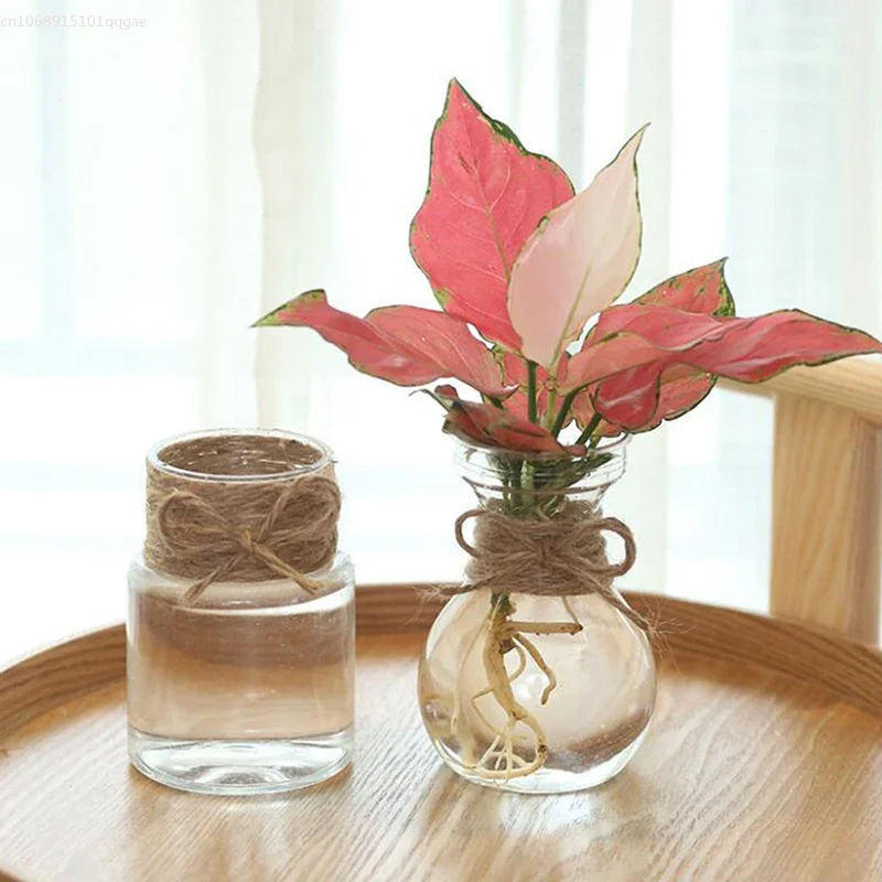 Piccolo vaso per centrotavola Vasi per fiori in plastica con boccioli Mini vaso trasparente rustico Forme uniche per cene di nozze Decorazioni per la casa Vasi