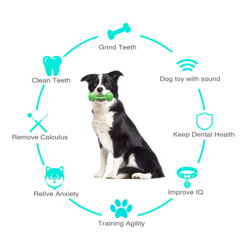 Welke kauwspeeltjes kan ik gebruiken voor de tandzorg van mijn hond
