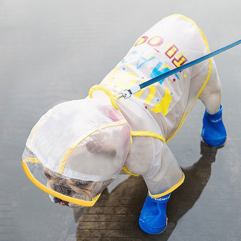 Manteau imperméable pour chien bouledogue français, Poncho Transparent givré à quatre pattes pour petit et moyen gabarit