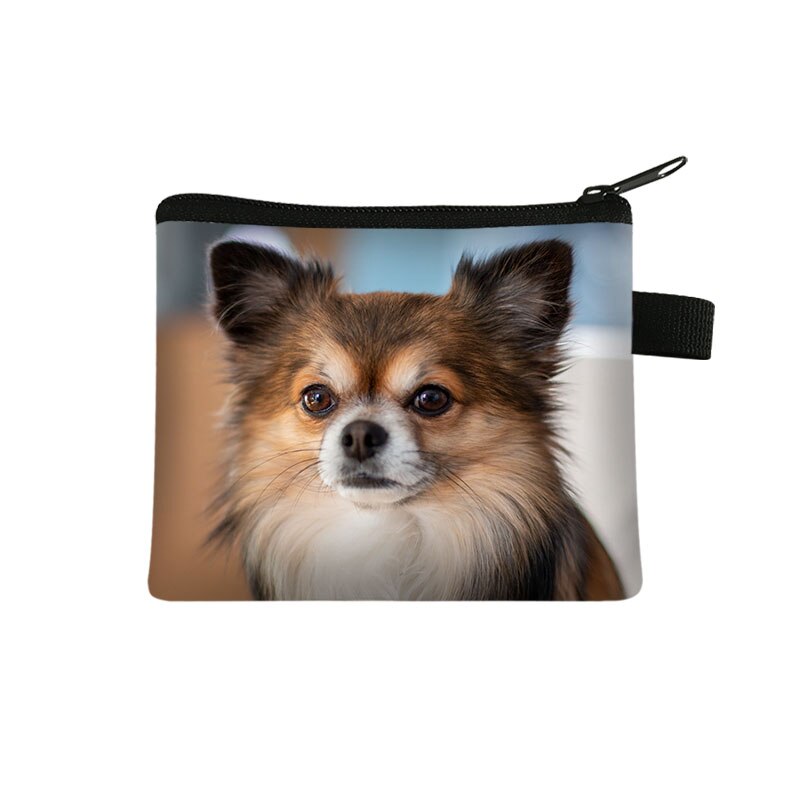 Cute Dog Chihuahua Mom Coin Purse Women Mini Wallet Lovely Dog Purses and Handbag Mini Lipstick Bags: lqbchihucw07