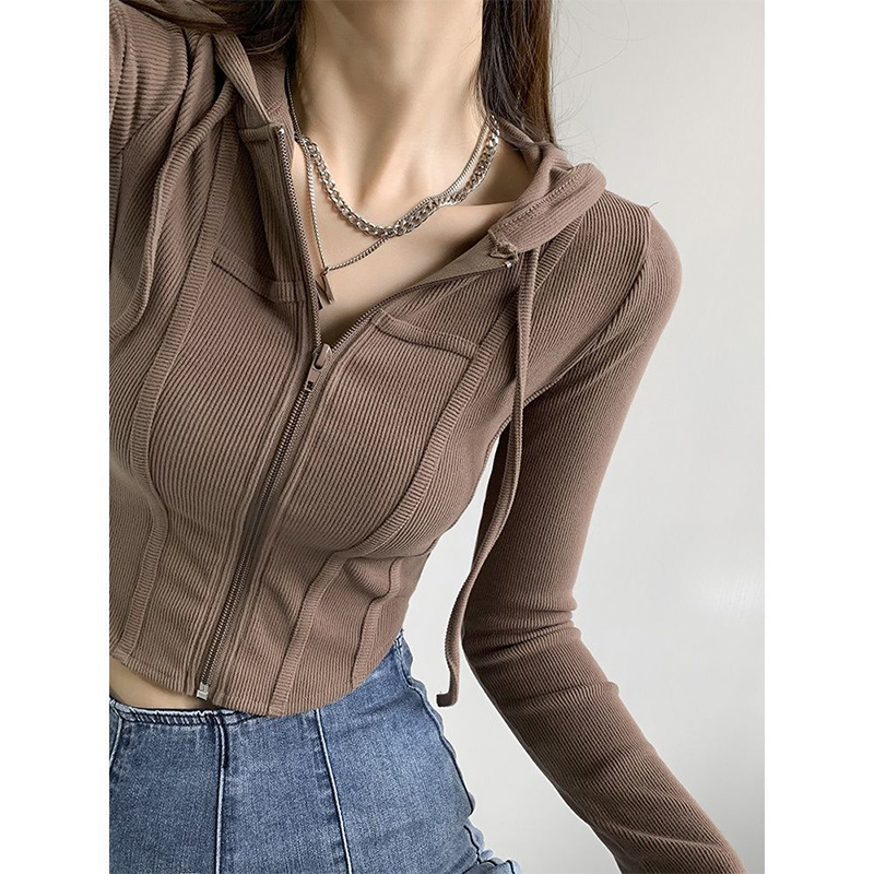 Lente Herfst Casual Mode Effen Eenvoudige Korte Hoodies Dames Lange Mouwen Slim All-Match Rits Sweatshirt Vrouwen Vest Top