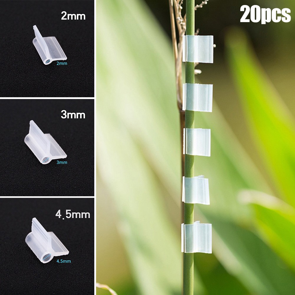Pinces de greffage agricole, 20 pièces, 2/3/4.5mm, légumes, fruits, plantes, tomates, pastèque, pince de Support, accessoires de jardinage