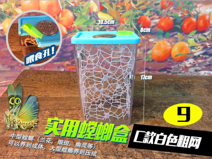 Plastic cubic mantis box crystal insect tank littl... – Grandado