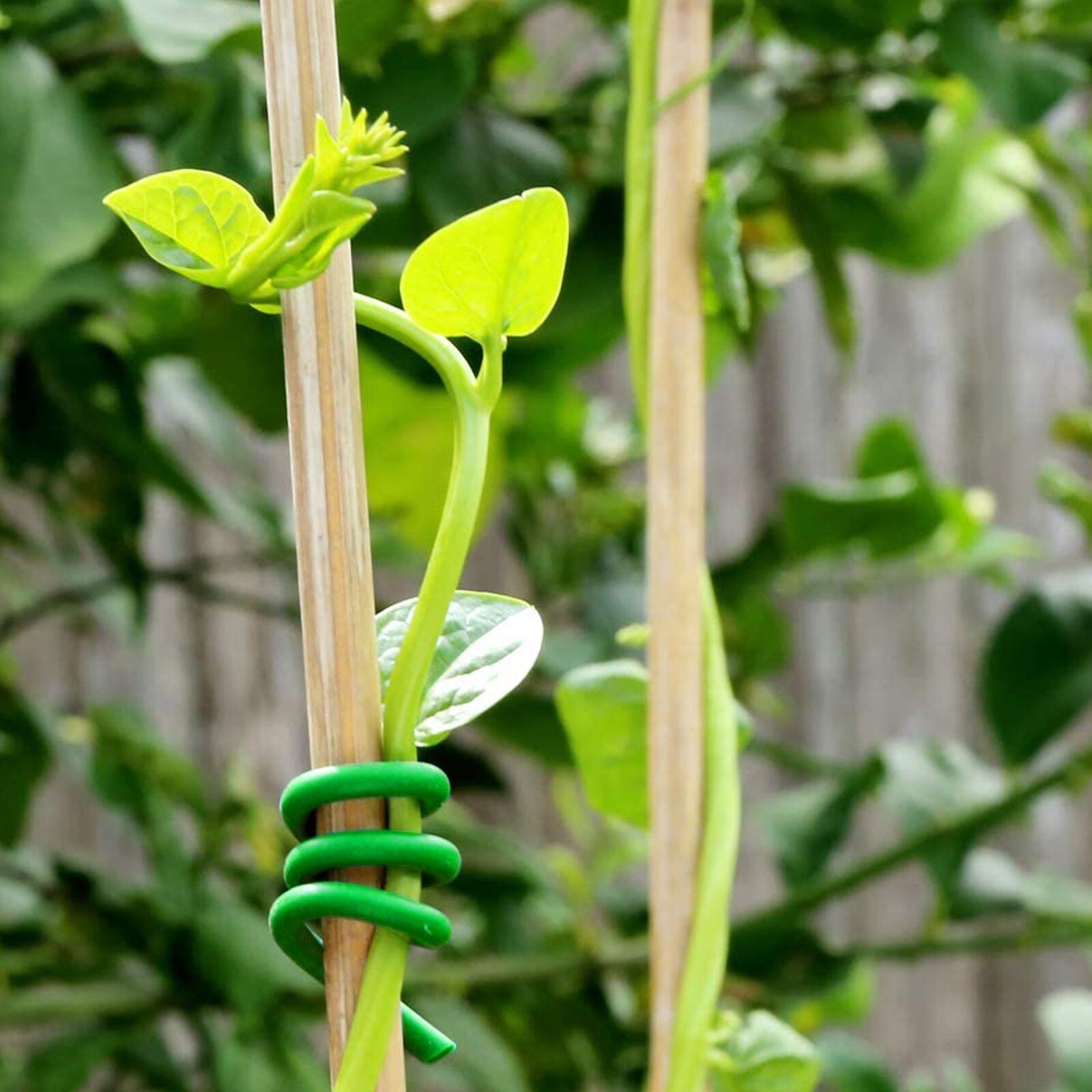 Weiche Eisen Garten Kabelbinder Blume Kabel Draht Multifunktions Riemen Mehrweg Magische Band Klettern Pflanzen Kabel Linien Anlage Halterung