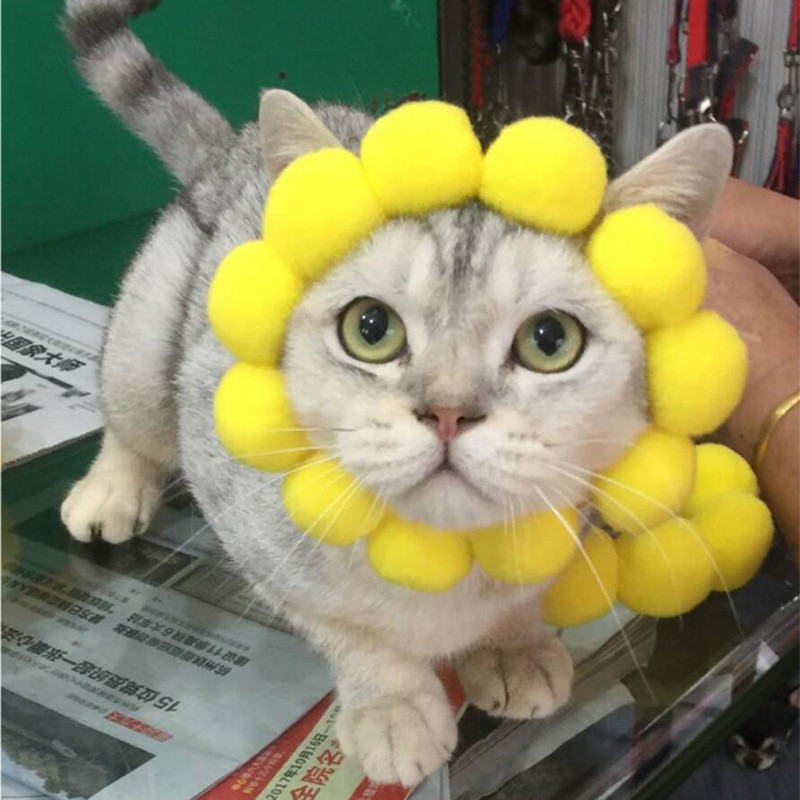 JU Cosplay Dog Cat Pet Flower Headgear Hat Costume Puppy Kitten Headdress Elizabeth Circle Head Wear Products Accessories