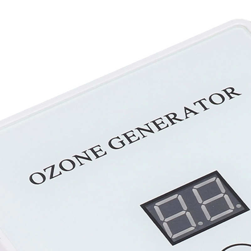 Multifunctional Fruit Vegetable Cleaning Machine Dissolving Pesticides Ozone Purifier for Home Use