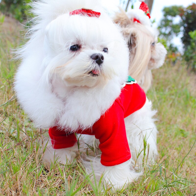 Pet Dog Christmas Clothes Winter Warm Red Dresses ...  Grandado