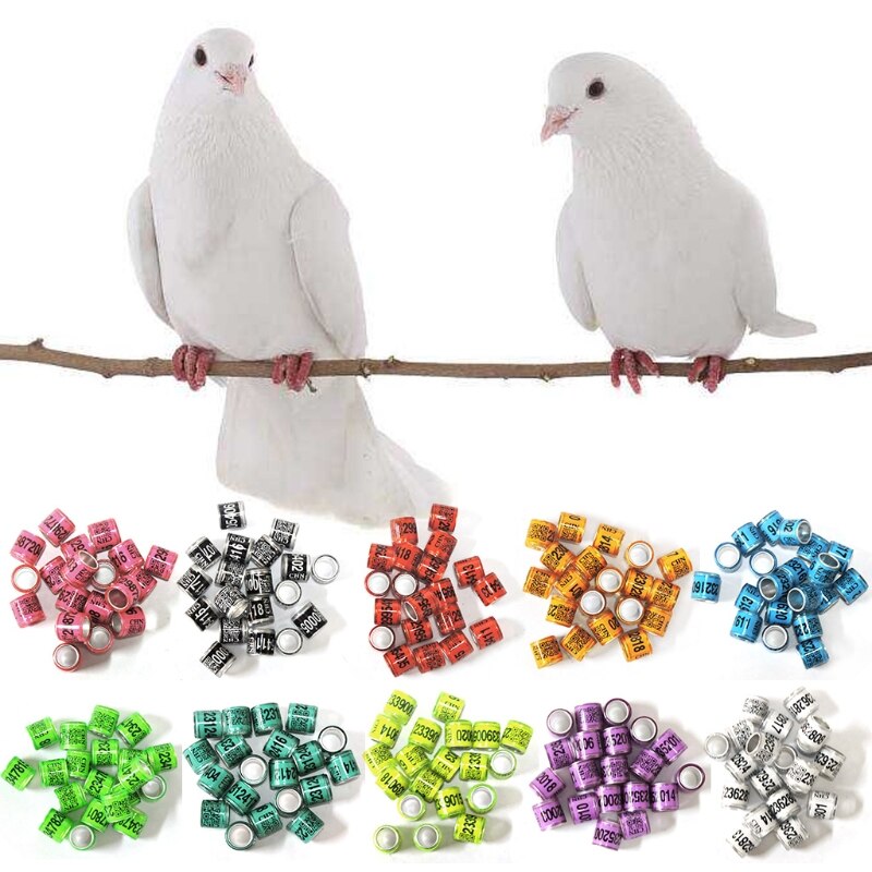 50 Pcs Mixed Color Dove Bands Bird Foot Ring Species Identify Training Rings Pet Bird Label Sign for Pigeon Dove Chicks