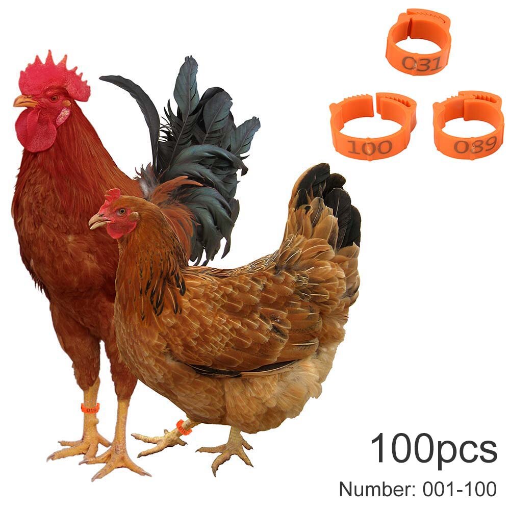 100PCS Chicken Leg Bands Chicken Poultry Rings 4 Colors Pigeon Geese Quail Bird Ring Carry tools Feeding Logo Poultry Ring Bird