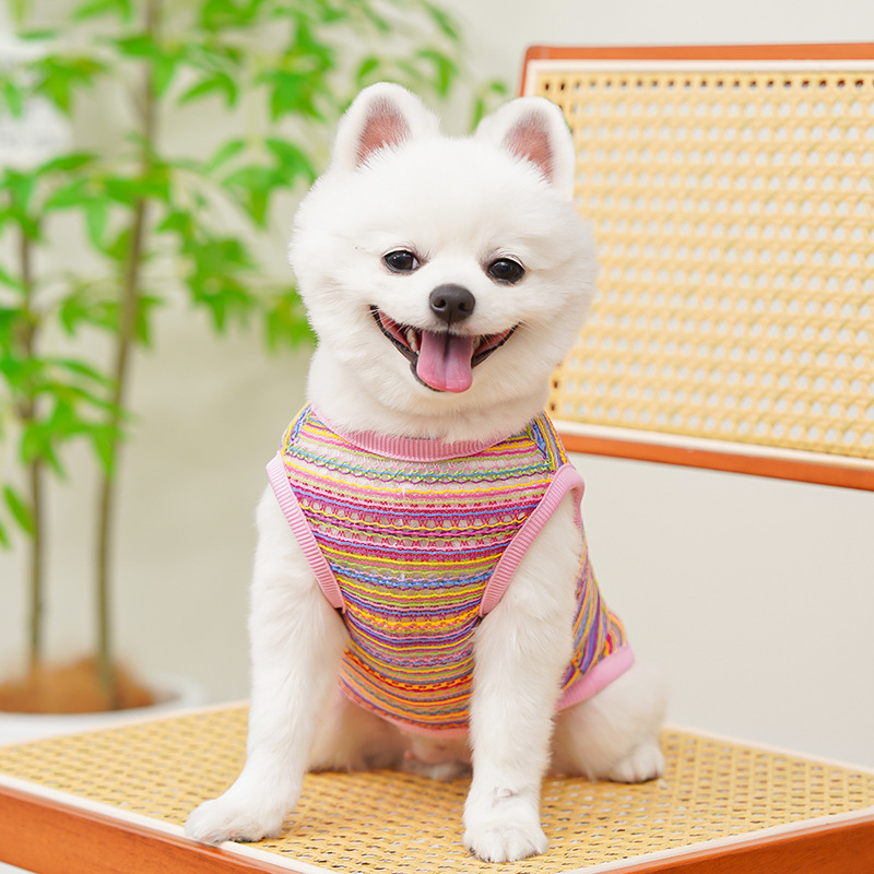 Ropa de malla para perros y gatos, sudaderas con capucha sin mangas de color rosa y azul, chaleco para cachorros, ropa, sudadera para gatitos, camiseta sin mangas para perros pequeños L