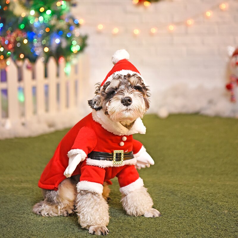 Kæledyr hund kat tøj jul hvalp tøj og jul rød hat hund tøj tyk varm frakke jakke vinter 5 størrelser