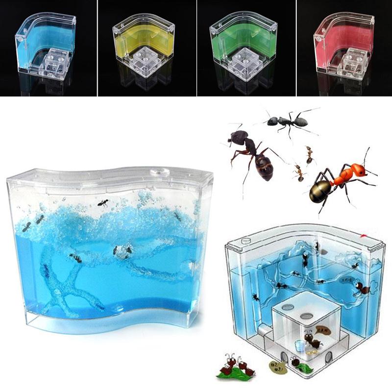 73 * 32 * 78mm for Live Ants House Pet Supplies Educational Educational Sand and Voucher Ant Pet Toy Ant House for Ant Nest