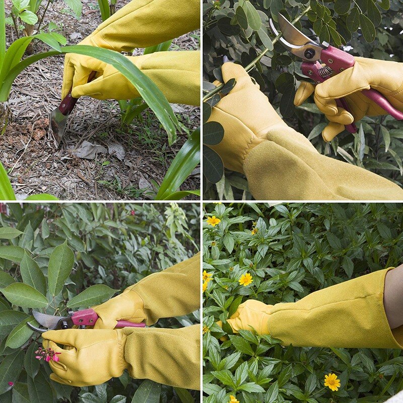 Tuinieren Handschoenen Professionele Rose Trim En Cut Bescherming Handschoenen, Werk Tuin Handschoenen (Geel)