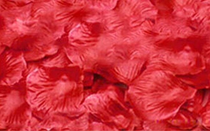 100 stk / pakke fest med kunstig blomst polyester bryllup dekorative rosenblade petalos de rosa bryllupsdekoration: Rød