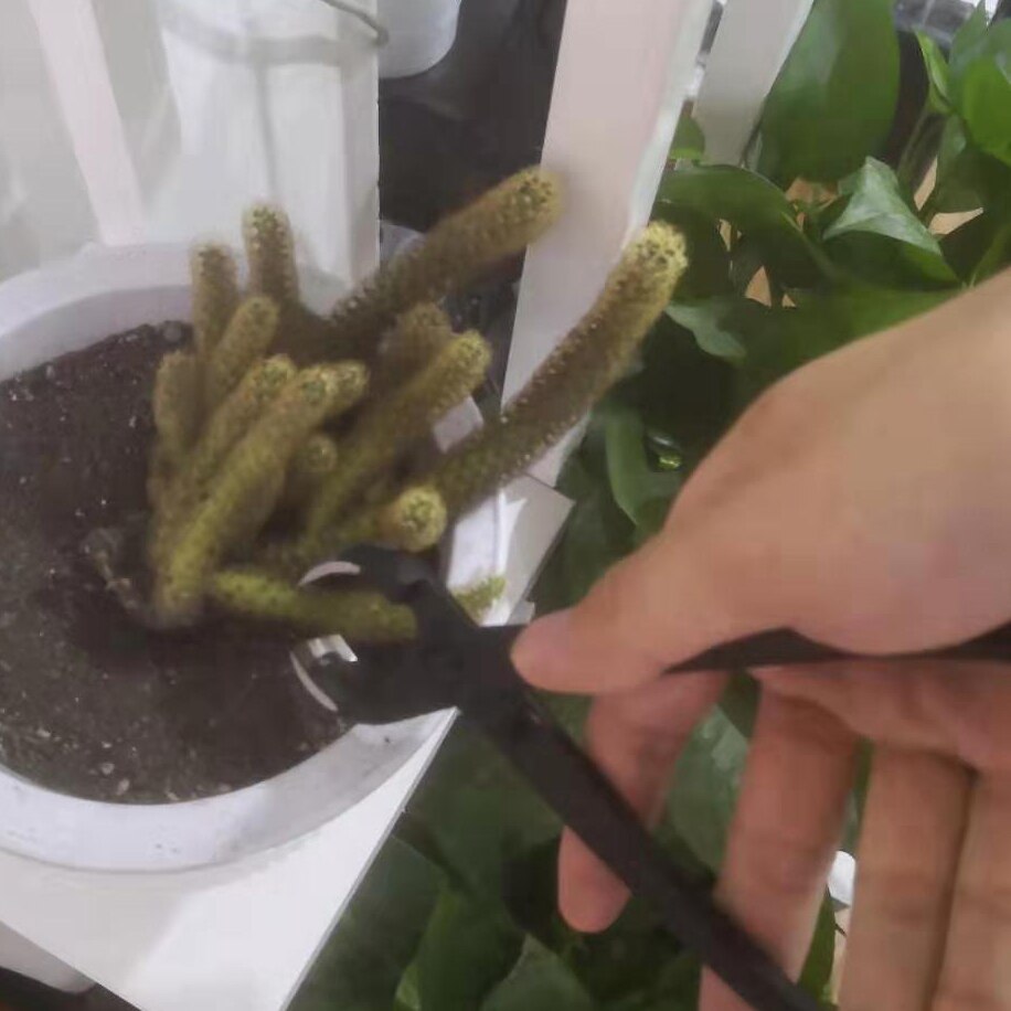 210 mm round edge cutter for potted plants standard mixed function of round &amp; straight edge Stainless Steel bonsai tools