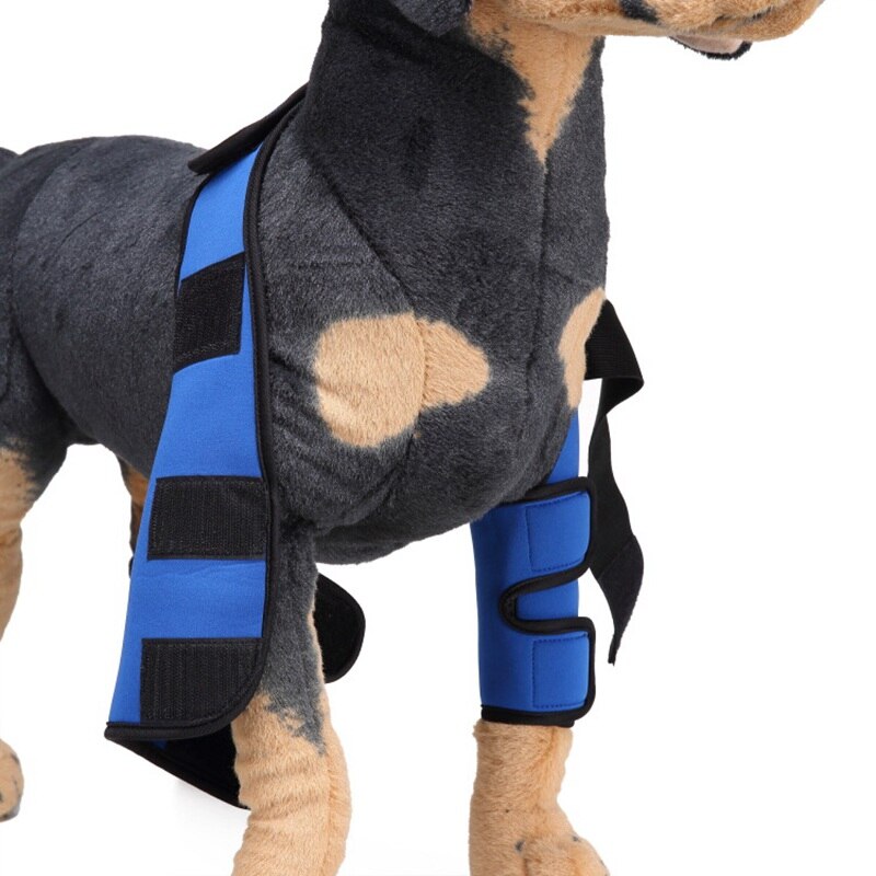 Skydd knäledsskydd hund benstöd knäskydd hund hasstag verktyg hund bakben hasledslindning skyddar sårläkning