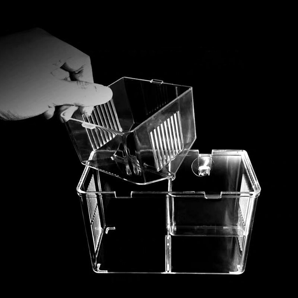 Fishes Tank on Breeder Aquarium Hatchery Fishes Breeding Isolation Box