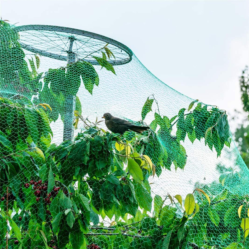 Red de protección antiaves de 20/10M, malla para plantas de jardín, protege plantas y árboles frutales de pájaros, ciervos, aves de corral, la mejor esgrima