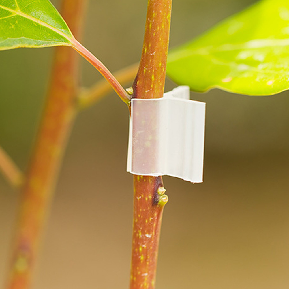 Clips de fijación de calibre para plantas, 2/3/4/5mm, para verduras, tomate, vid, tallos, soporte para cultivo, 200 Uds.