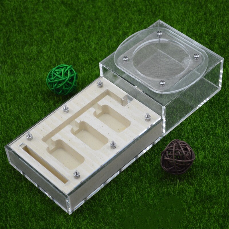 Diy With Feeding Area Ant Nest ,ant Farm Acryl, Insect Ant Nests Villa Pet Mania For House Ants: Ant Nest 2