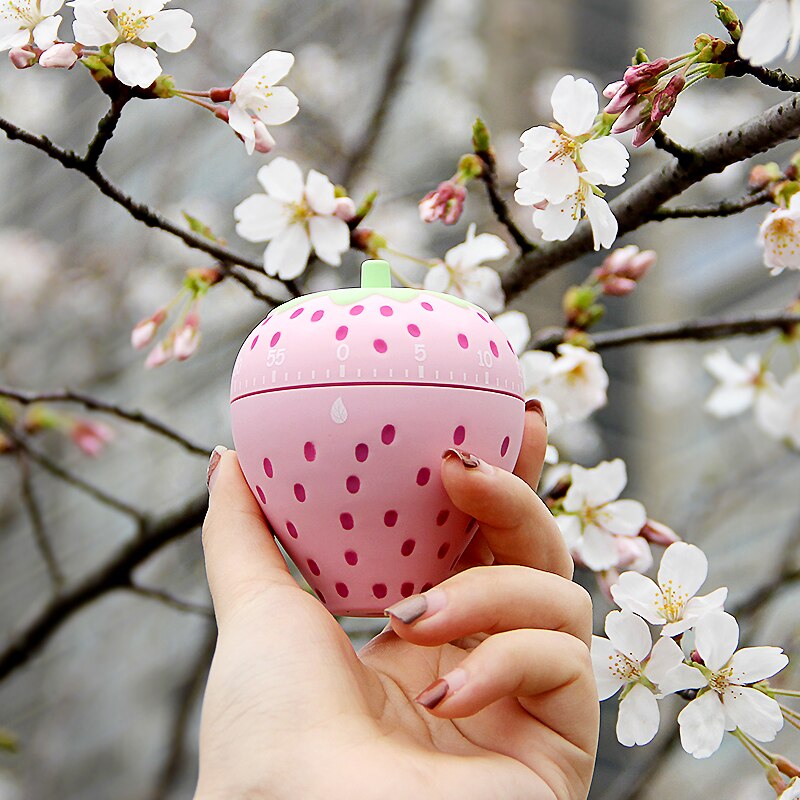 Food Kitchen Cooking Timer Reminder Alarm toys For Cook Tools Accessories Animal Cooking Time Manager Stopwatch toys