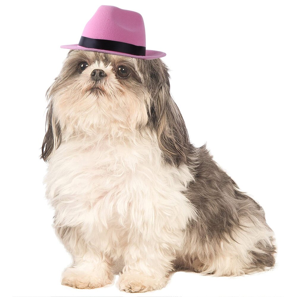 Hund cowboyhat hovedbeklædning kat sjov hovedbeklædning kostume ydeevne foto rekvisitter cosplay tilbehør
