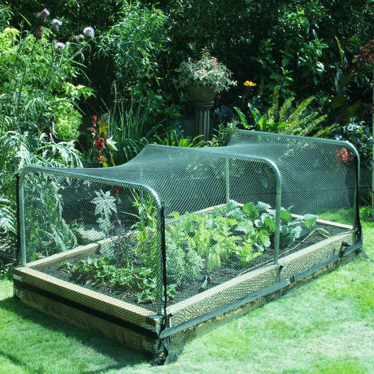 Valla antiaves pesada de 18 hebras, valla anti ciervos, cerca de jardín y cultivos, cercado protector, malla antiaves, ciervos, gatos, perros, red para pollos