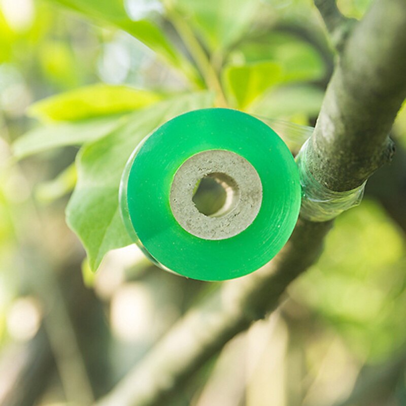 2CM x 100 M/1 rollo de cinta de injerto herramientas de jardín árboles frutales tijeras de podar ramas cinta de jardinería cinta de lazo de PVC
