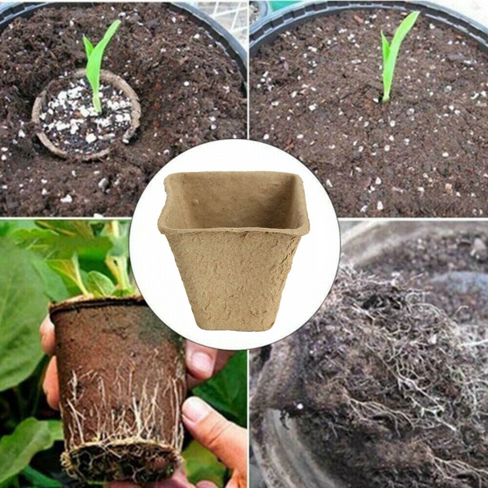 50pcs/set Seed Nursery Pots Square Plant Starter Peat Flower Vegetable Seedlings Nursery Cup Paper Planter Trays Garden Supplies