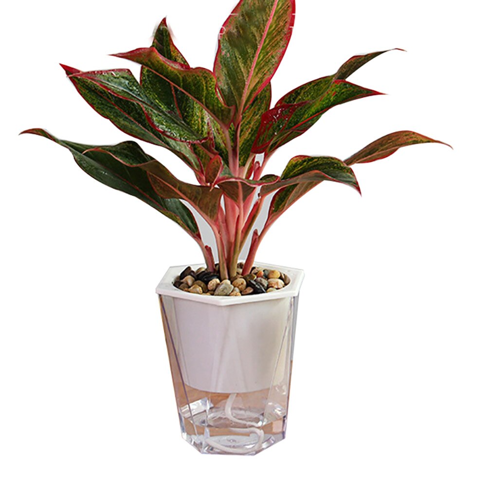 Maceta transparente de doble capa para plantas, maceta para decoración de hogar, jardín, escritorio, autorriego, PotOCT998: L