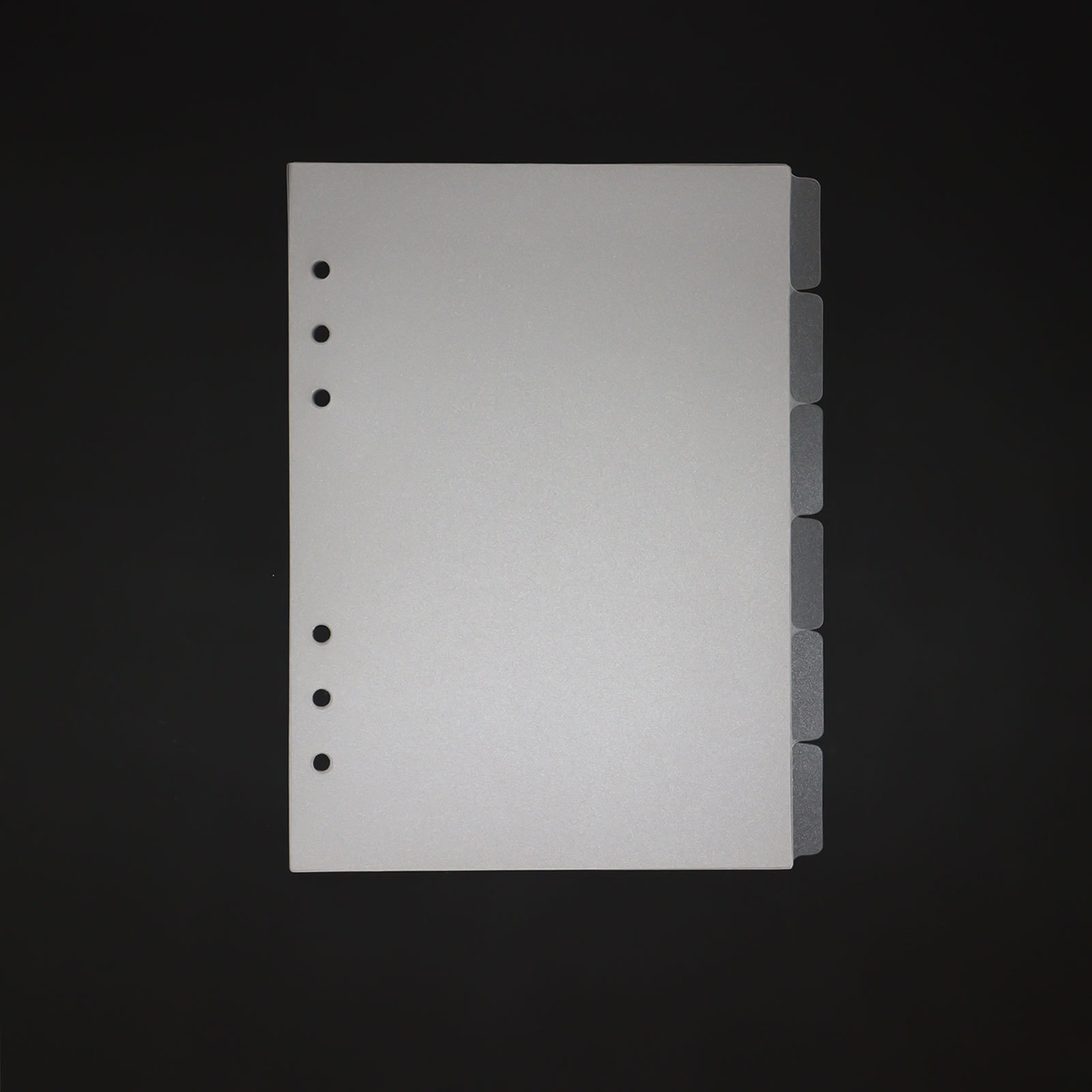 SKYSONIC A5 A6 A7 Separador de índice de carpeta en espiral Separadores superiores de página transparente 6 uds/12 Uds páginas de tablero de 6 agujeros pegatinas en inglés: Blanco