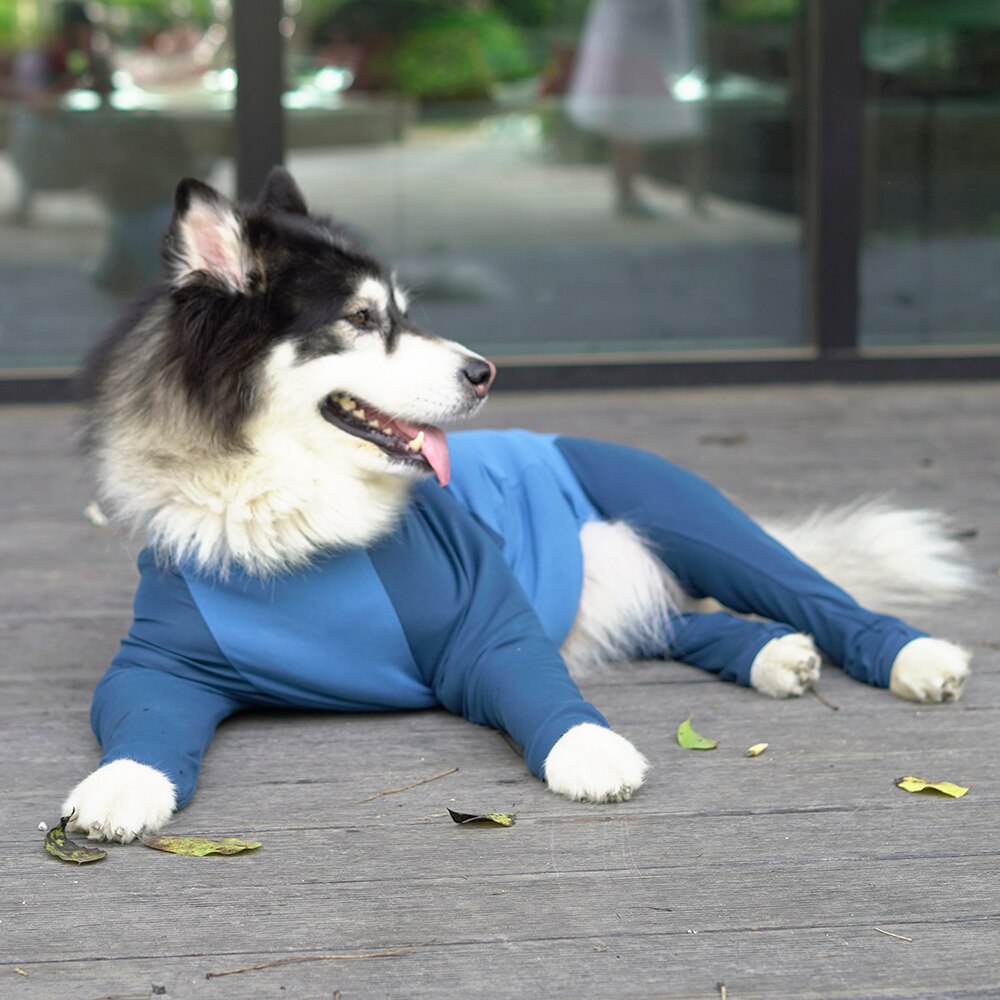 Ropa de perro grande para otoño e invierno, pijama dorado de Samo Alaskan con cuatro patas y codo, para perros grandes