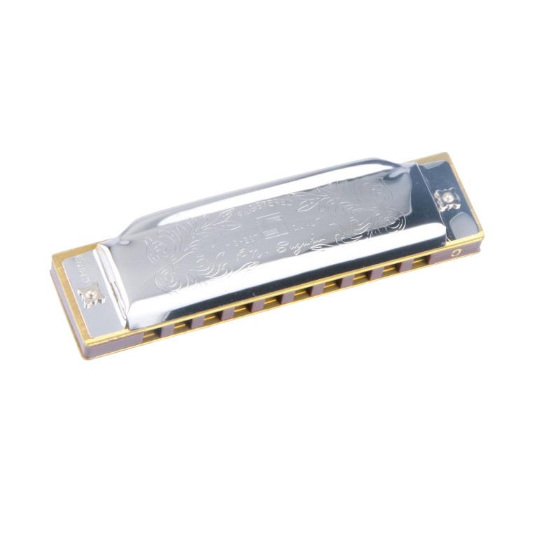 C Key Harmonica Rvs Standaard Harmonica 10 Hole Diatonische Harmonica Key Van Tone Met Case Voor Beginner Student