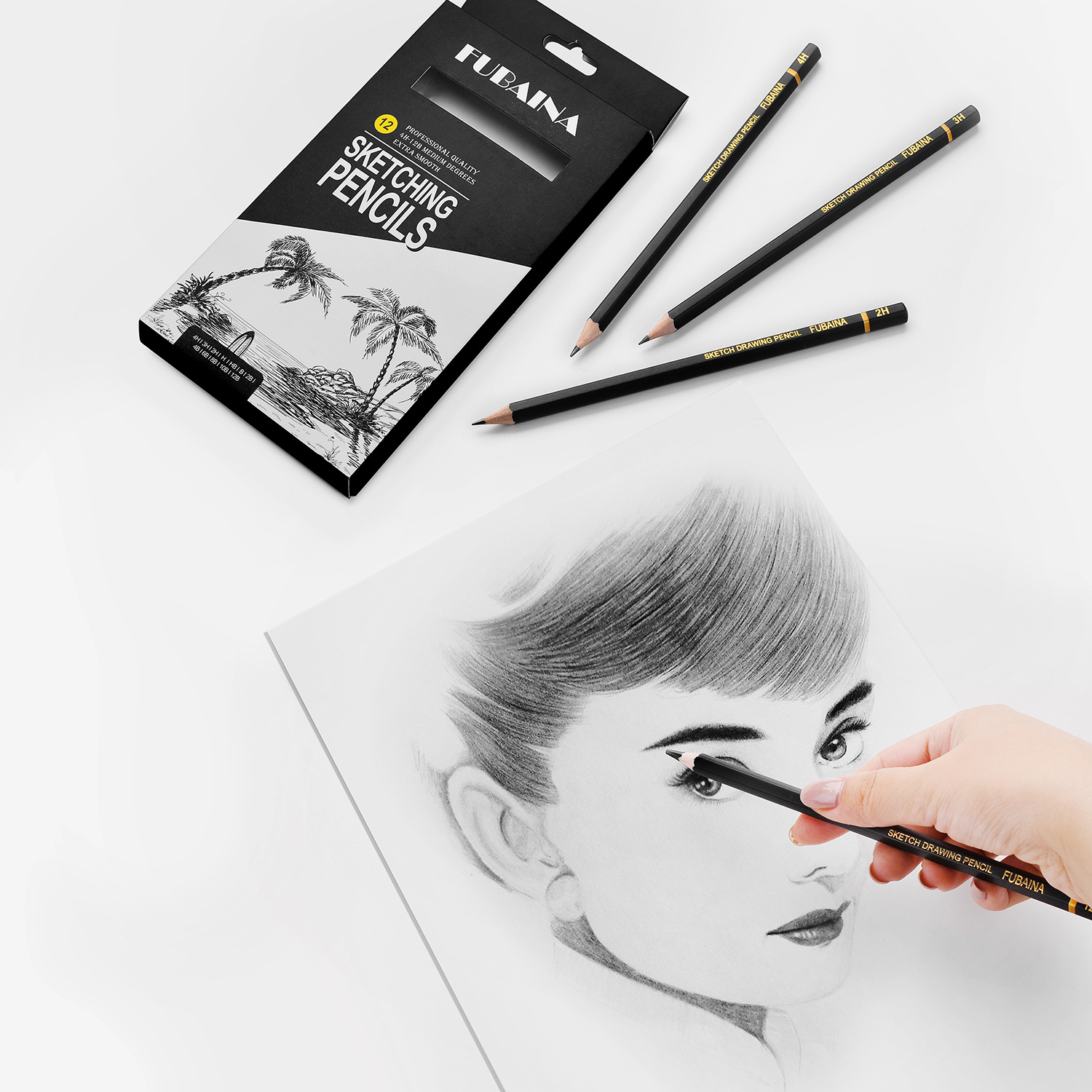 HB 2H 4H 6H B 2B 3B 4B 5B 6B 8B 10B Drawing Sketching Pencil Set,12 Pieces Art Pencils Graphite Shading Pencils for Beginners