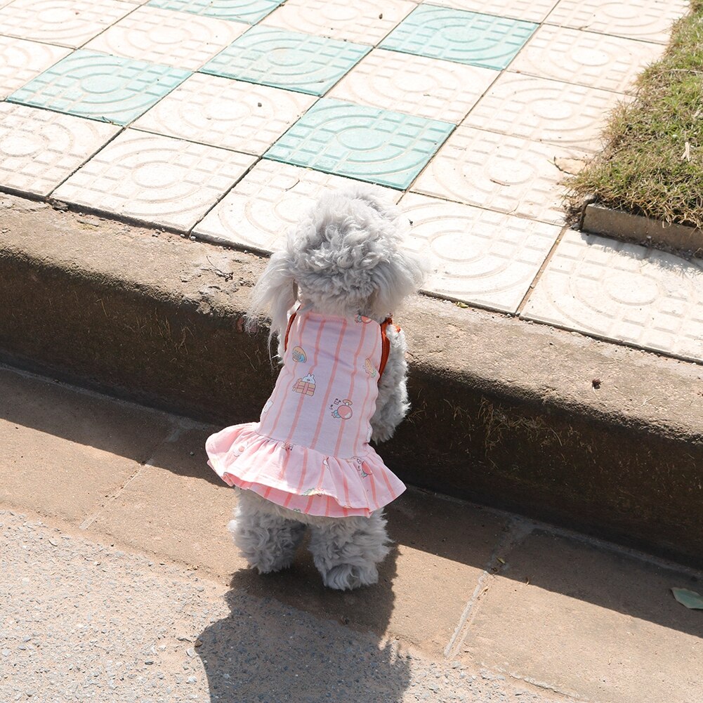 Kleine Hund Kleidung für Chihuahua Pudel Beagle Yorkies Hund Weste Welpen Felsen geschwollen Prinzessin Kleid Frühling Sommer Haustier Kleidung V