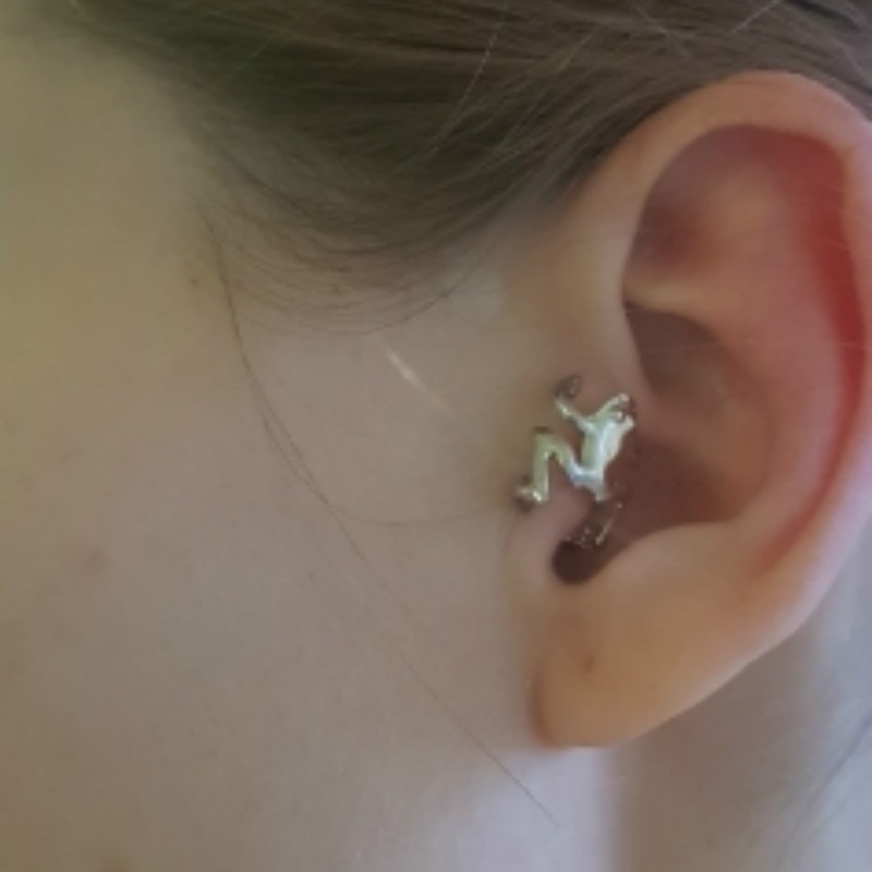 Puños de oreja de rana Punk para hombre y mujer, aretes de Clip de Animal, 1 Uds., Clip de perno para oreja, de joyería de aleación