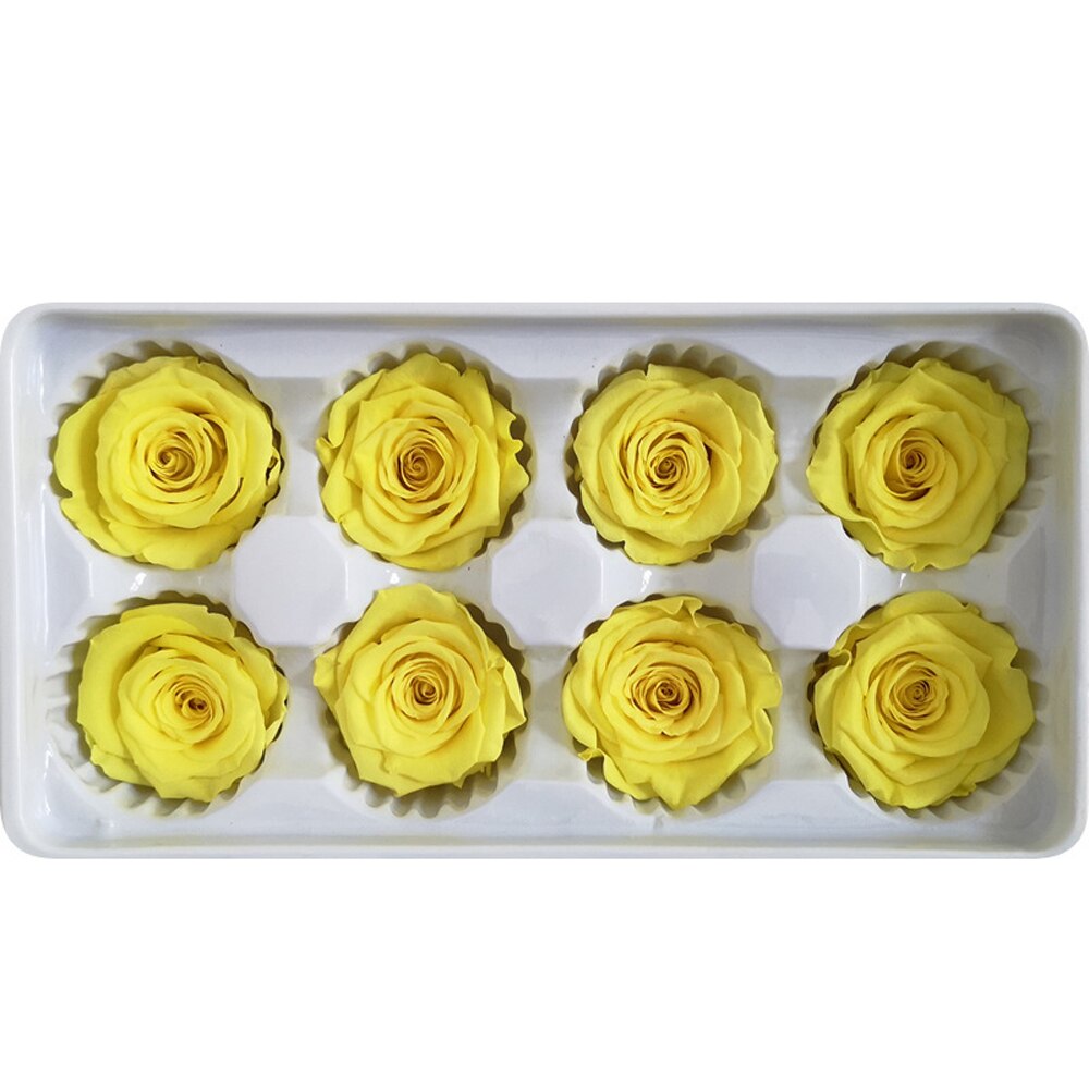 8 stk / kasse konserverede blomster blomst udødelig rose 5cm diameter mødres dag evigt liv blomstermateriale kasse: Lysegul