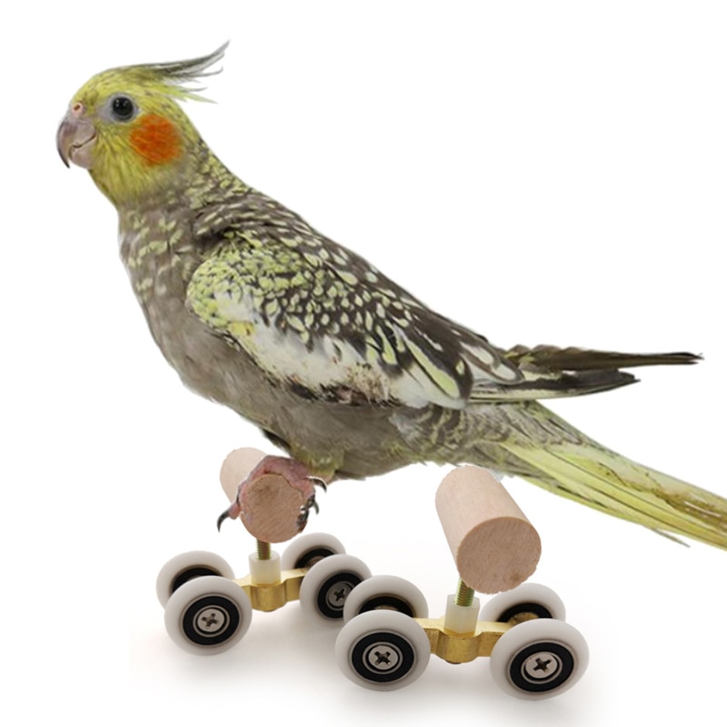 Juguetes de inteligencia de loros, Mini polea de entrenamiento para periquitos, crecimiento divertido, garra de molienda, Mini juguetes de polea