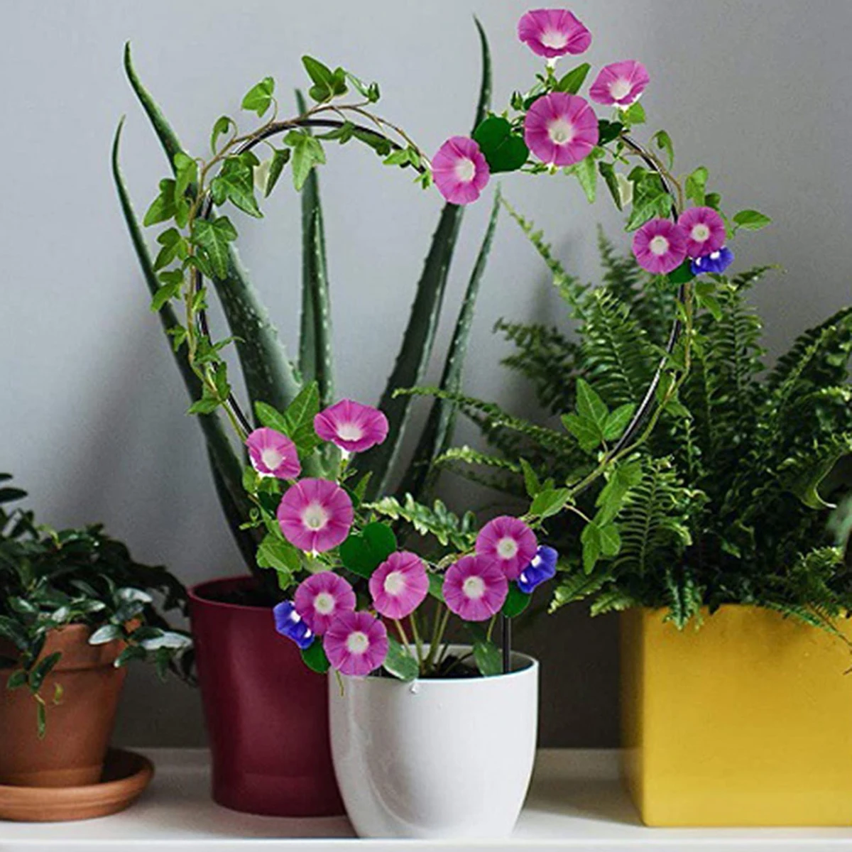 Soporte para plantas trepadoras de hierro, enrejado de jardín con revestimiento negro a prueba de óxido para enrejado de vid y flores de interior, 1/3 Uds.