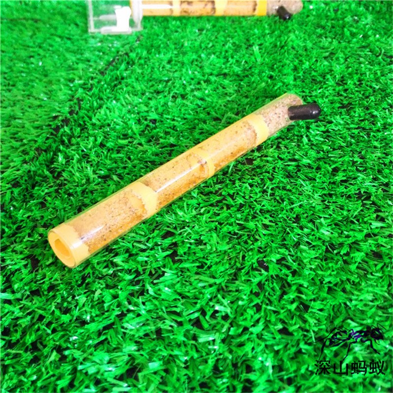 Test Tube Vocht Grote Ruimte Mier Nest, Ant Farm Acryl, Insect Mieren Villa Huis Mieren Ecologische Workshop